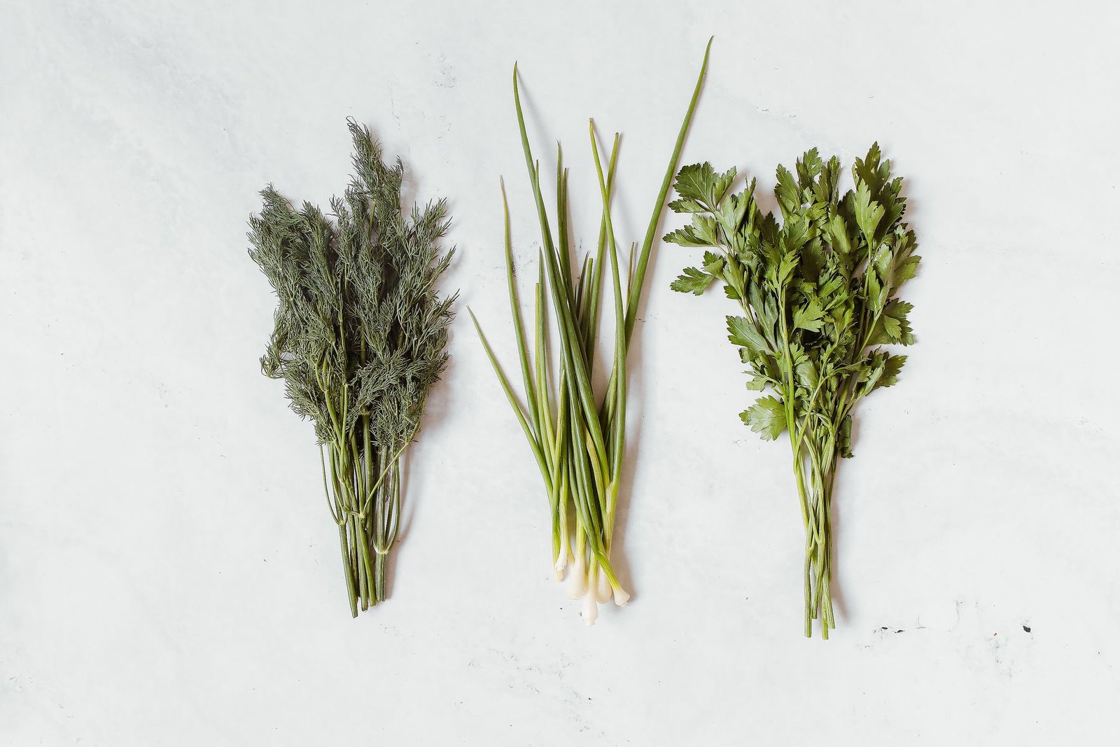 Drei Bund frische Kräuter nebeneinander auf hellem Untergrund: Dill, Frühlingszwiebeln und Petersilie